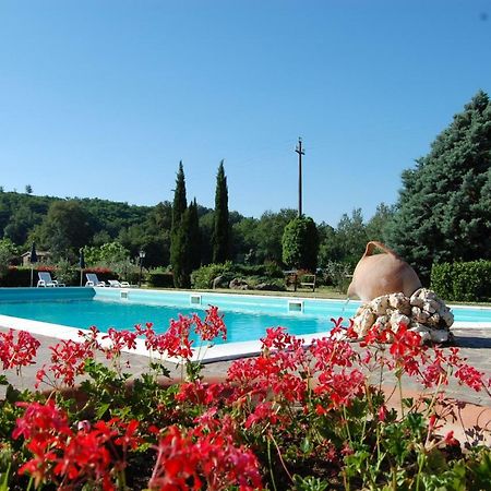Fattoria Antognoni Villa Reggello Ngoại thất bức ảnh