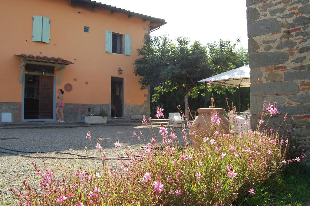 Fattoria Antognoni Villa Reggello Ngoại thất bức ảnh